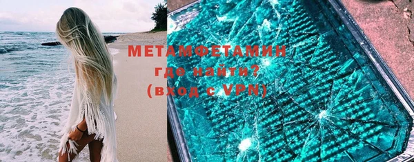 прущие грибы Верея