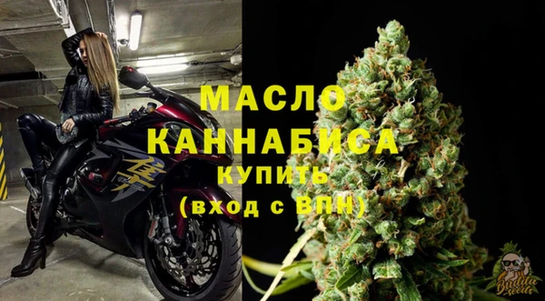 прущие грибы Верея