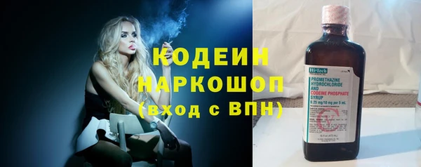 прущие грибы Верея
