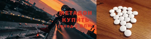 прущие грибы Верея