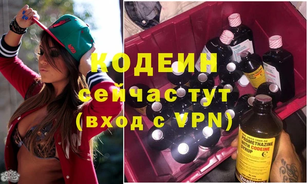 прущие грибы Верея