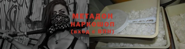 прущие грибы Верея