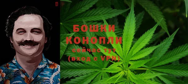 прущие грибы Верея