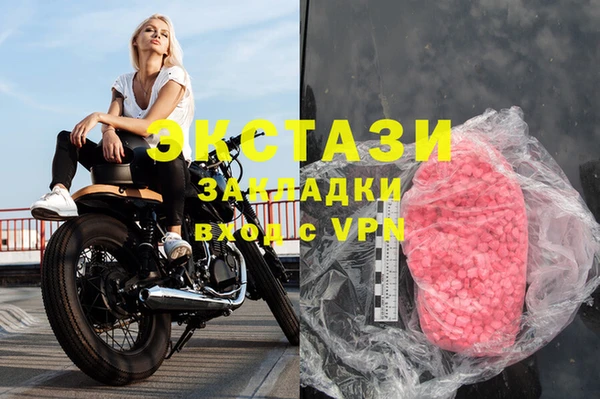 прущие грибы Верея