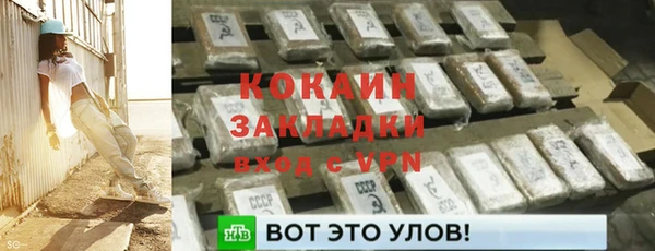 прущие грибы Верея