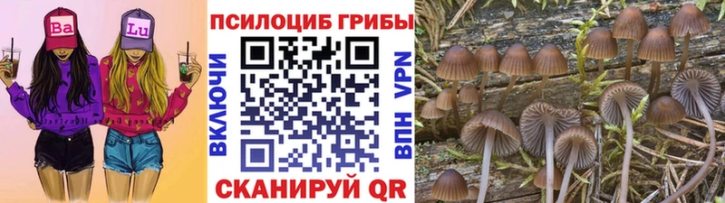 Галлюциногенные грибы ЛСД  закладка  Копейск 